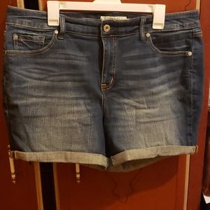 Torrid Vintage Shorts